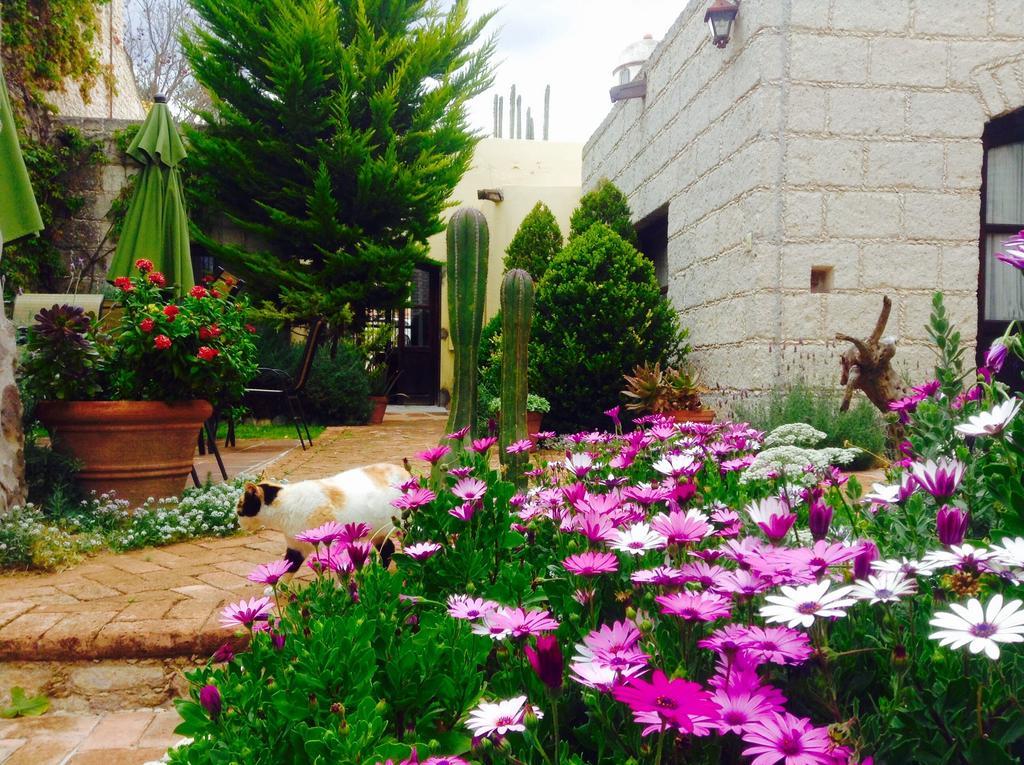 Hotel Secreto Pozos  Exterior photo